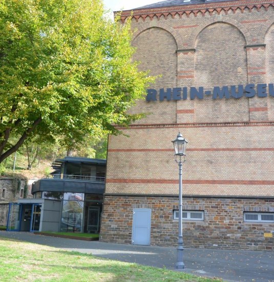F&uuml;hrung "Der Wels und andere Rheinfische" | &copy; Rhein-Museum e. V.