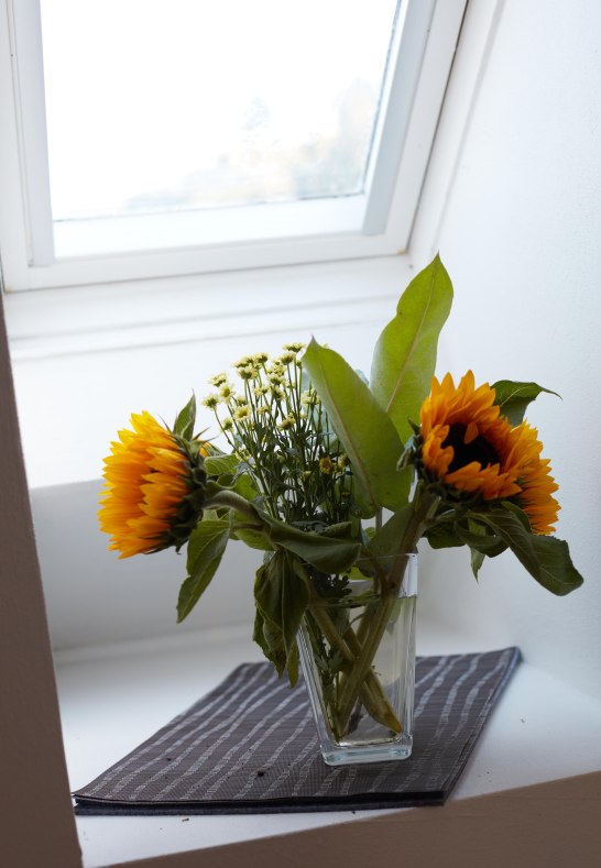 _P9A4966 | &copy; RNT, Simone Bohr