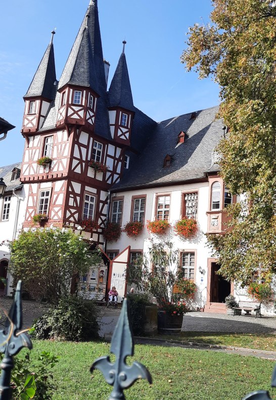 20231007_144511 | &copy; Petra Kahl