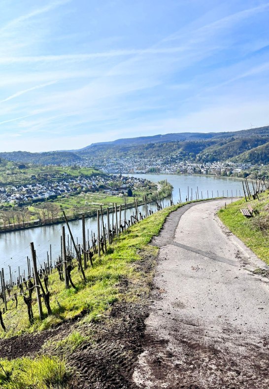 WhatsApp Image 2023-04-24 at 16.53.40 | &copy; Fam.Lorenz