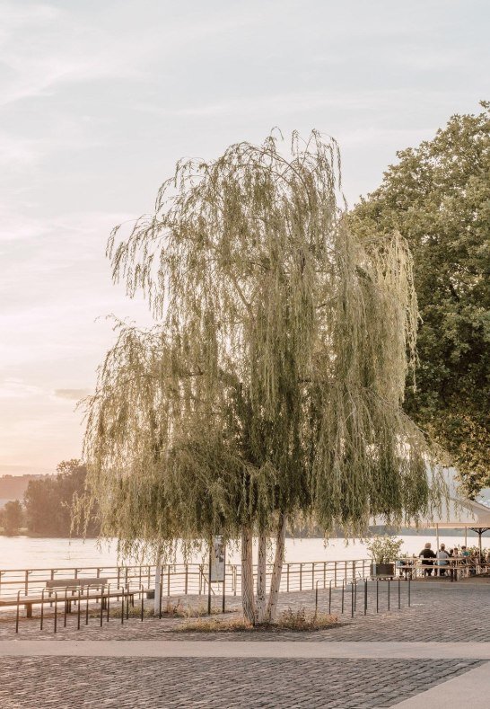 Deichvorgelände mit Blick auf den Biergarten | © Zimpfer_Photography Deichvorgelände mit Blick auf den Biergarten | © Zimpfer_Photography