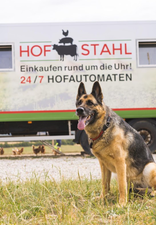 Hof Stahl Hund | © Hof Stahl Hof Stahl Hund | © Hof Stahl