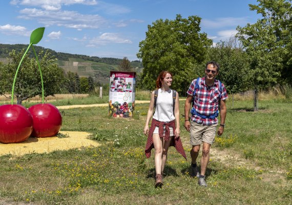 Kirschenpfad | &copy; Katja S. Verhoeven