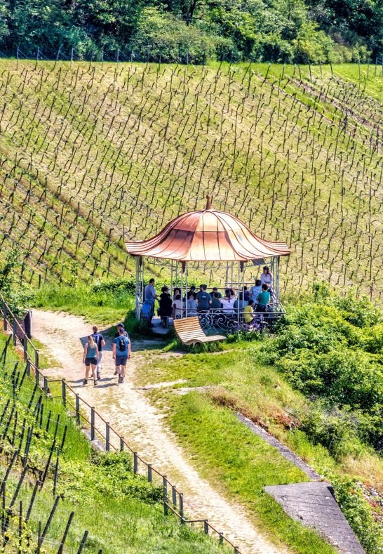 Rotweinlaube in Assmannshausen | © Marlis Steinmetz Rotweinlaube in Assmannshausen | © Marlis Steinmetz
