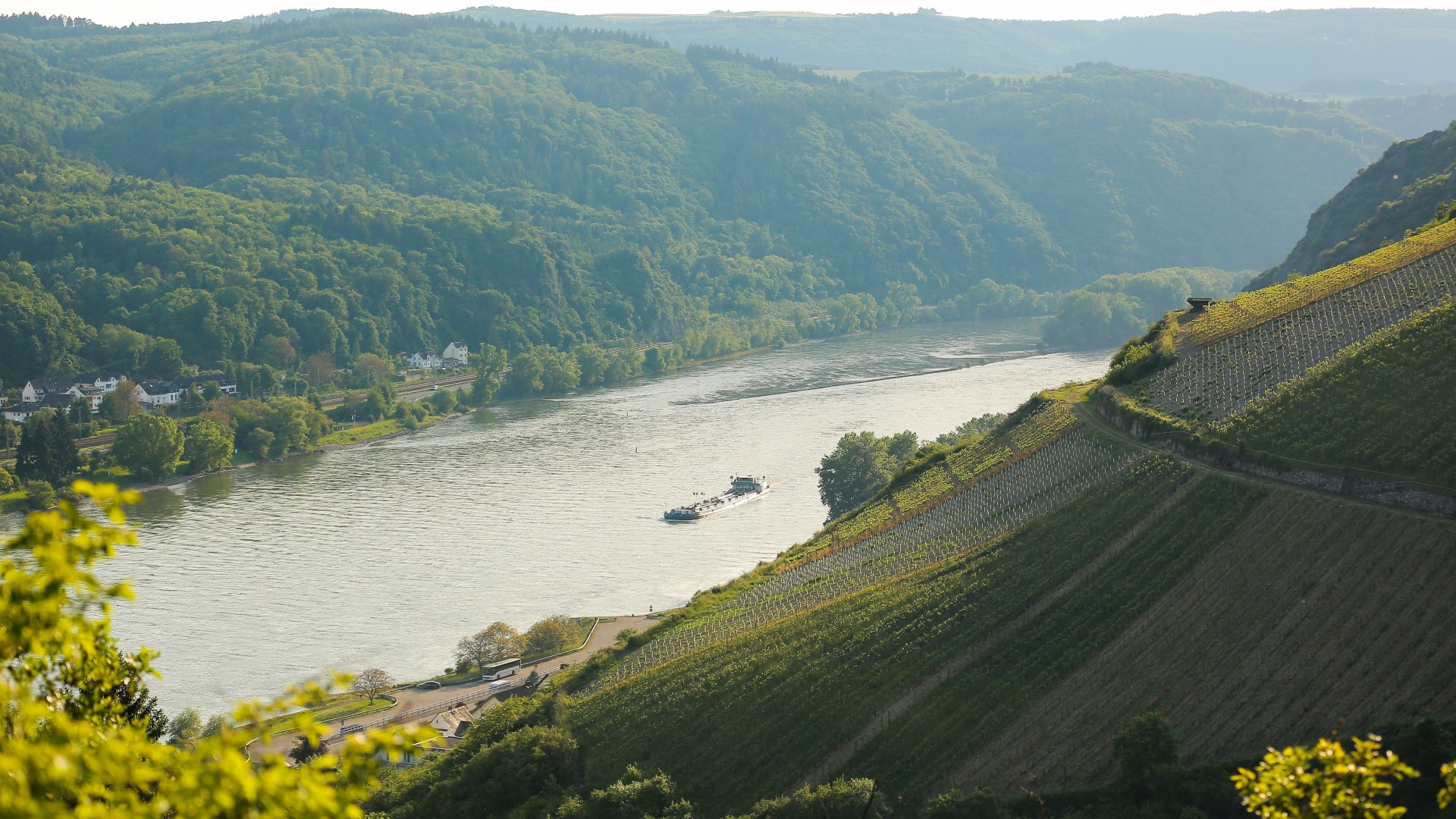 Steep vineyards near St. Goarshausen | © Henry Tornow Steep vineyards near St. Goarshausen | © Henry Tornow