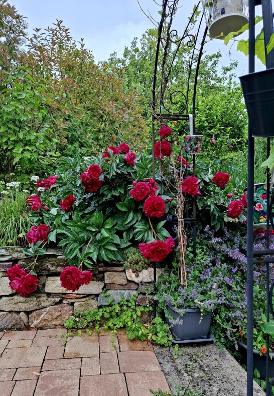 20250601_101139 | &copy; Daniela Herrmann