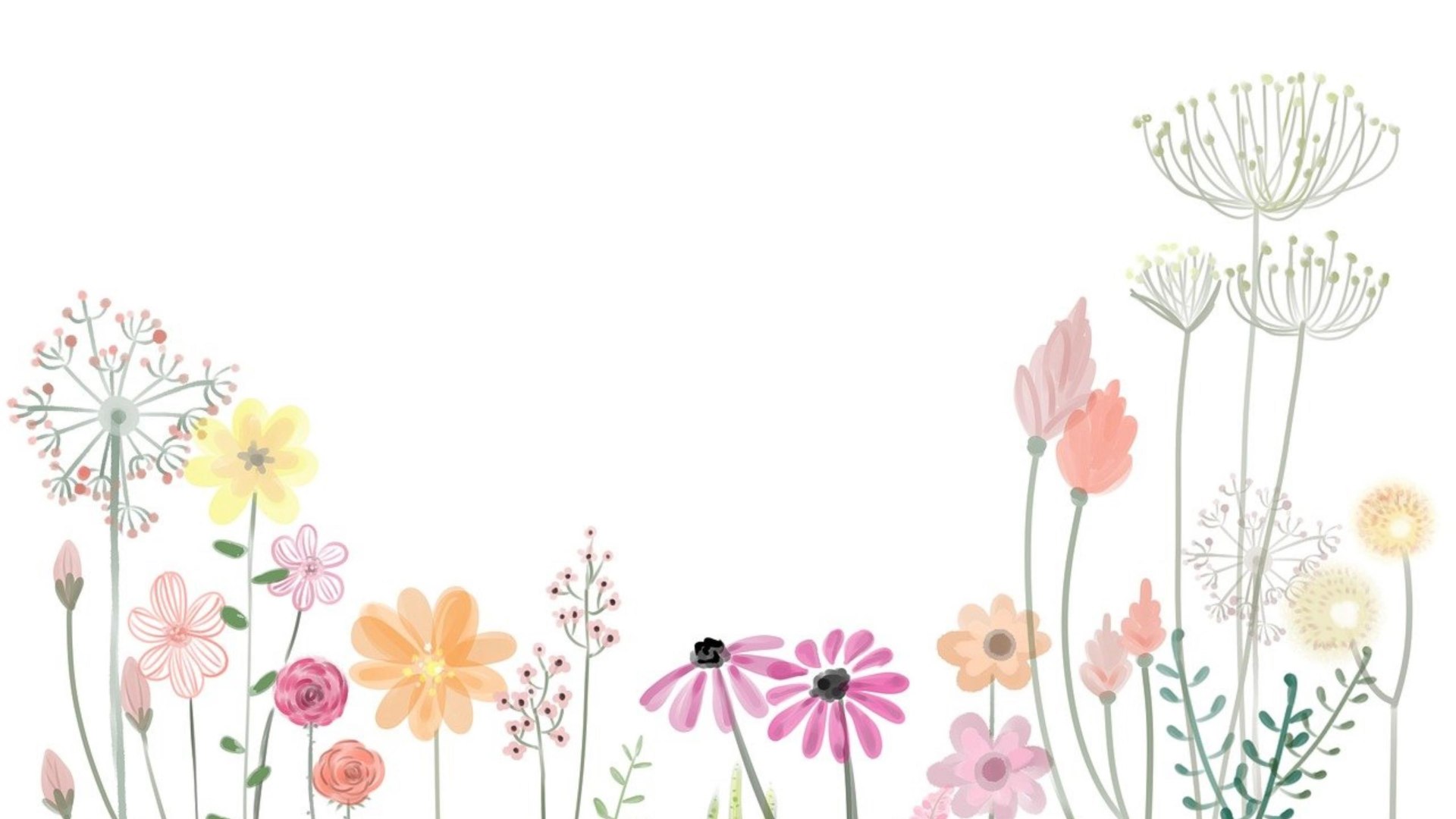 Boppard bl&uuml;ht auf | &copy; Tourist Information