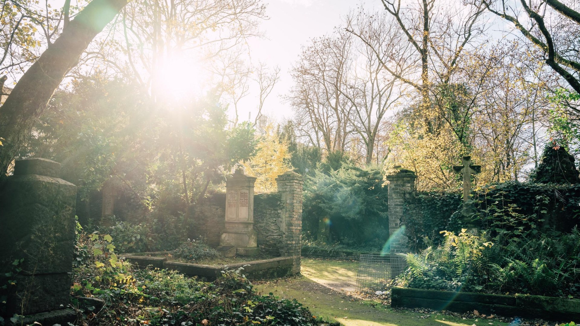 Alter Friedhof | © Zimpfer_Photography Alter Friedhof | © Zimpfer_Photography