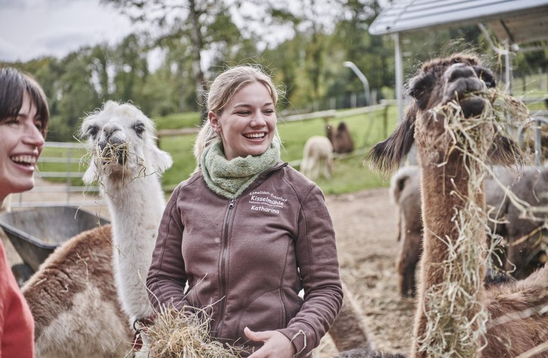 Fütterung Lamas und Alpakas | © HA Hessen Tourismus, Roman Knie Fütterung Lamas und Alpakas | © HA Hessen Tourismus, Roman Knie