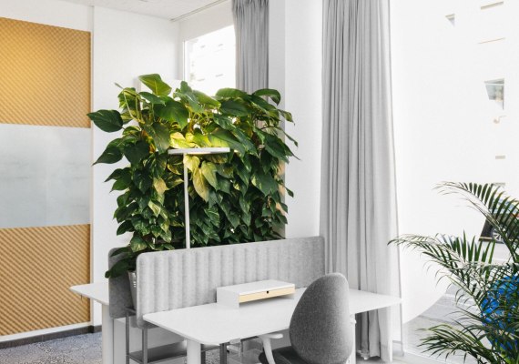 Coworking-Space 2 | © zweıheıt ınnenarchıtekten Coworking-Space 2 | © zweıheıt ınnenarchıtekten