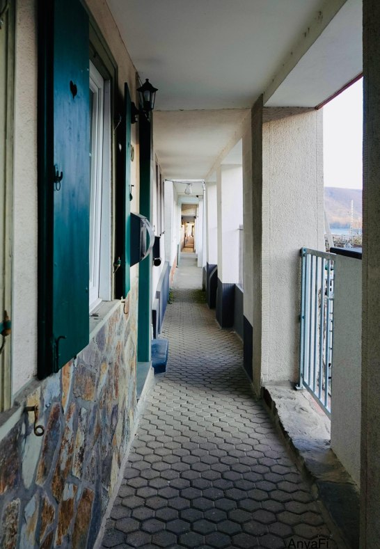 DSC03515 | &copy; AnyaFi