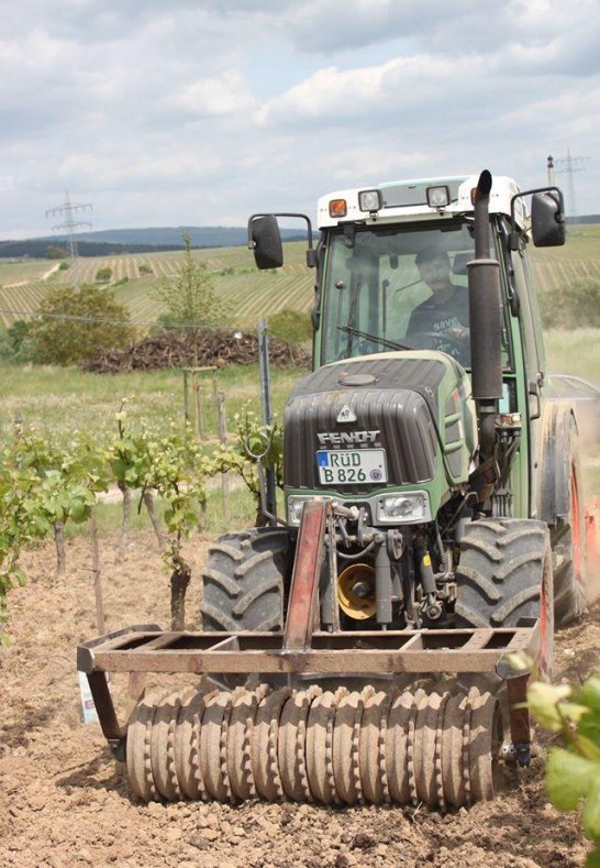 Außenbetrieb Einsaat | © Weingut Hans Bausch Außenbetrieb Einsaat | © Weingut Hans Bausch