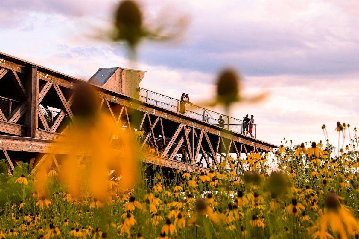 Plattform am Abend | © Johannes Bruchhof Plattform am Abend | © Johannes Bruchhof