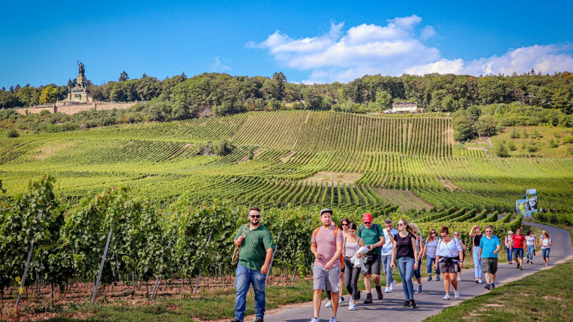 Weinwanderung | © Bianca Promotion