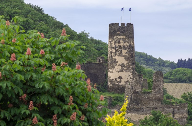 Fürstenberg im Frühjahr | © Friedrich Gier Fürstenberg im Frühjahr | © Friedrich Gier