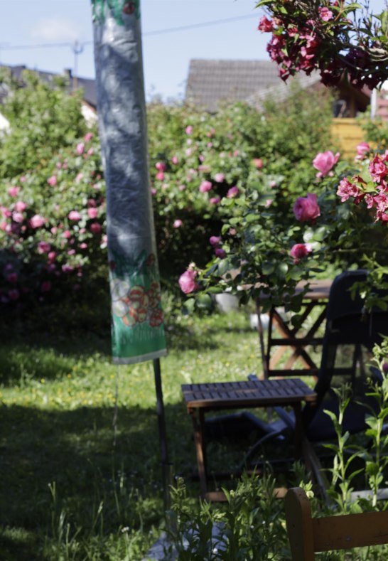 Garten | &copy; Schniering