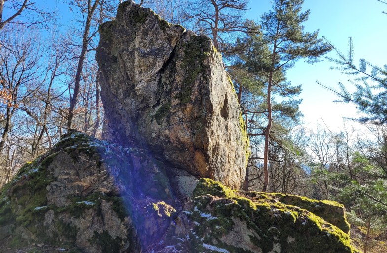 Kuckucksnacks | © E. Bender Kuckucksnacks | © E. Bender