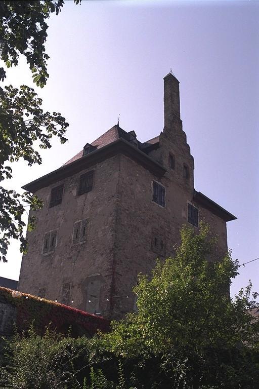 Burg Hattenheim | &copy; Burg- und Versch&ouml;nerungsverein Hattenheim e.V.