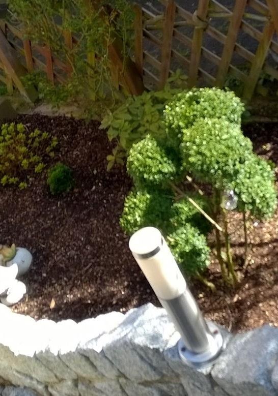 Garten | &copy; Petra Erbar