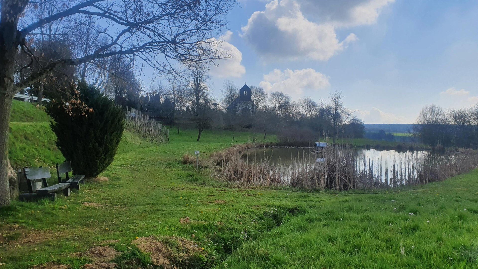 Teich am Simmerbach | &copy; T. Biersch