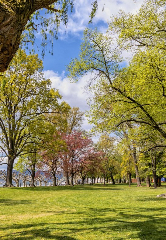 Hafenpark 4 | © Rheingau- Taunus Kultur und Tourismus GmbH