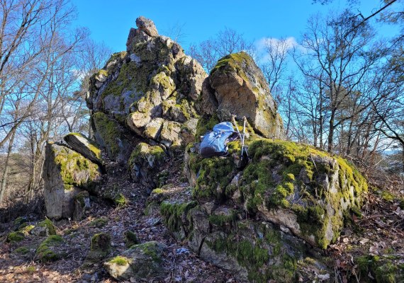 Kuckucksnacks a | © E. Bender Kuckucksnacks a | © E. Bender