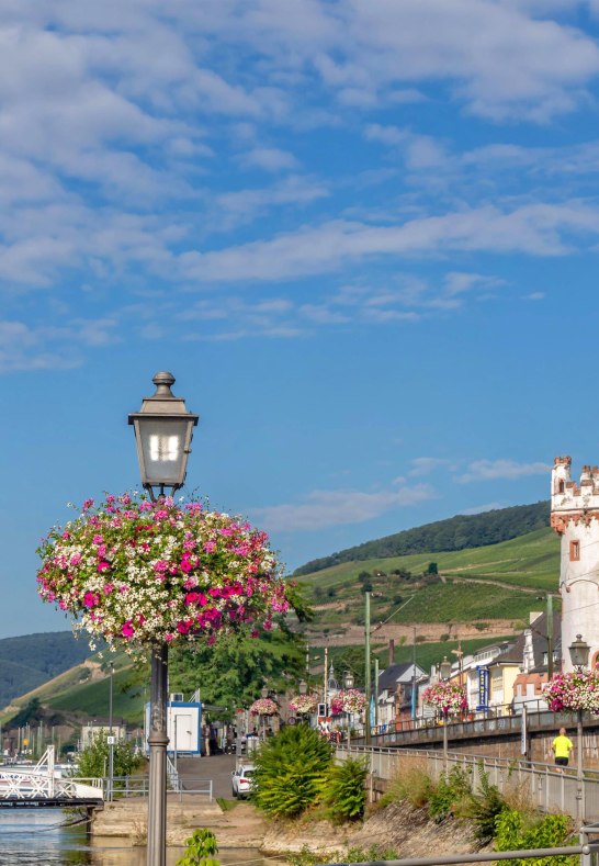 Hafenpark Rüd 3 | © Rheingau- Taunus Kultur und Tourismus GmbH