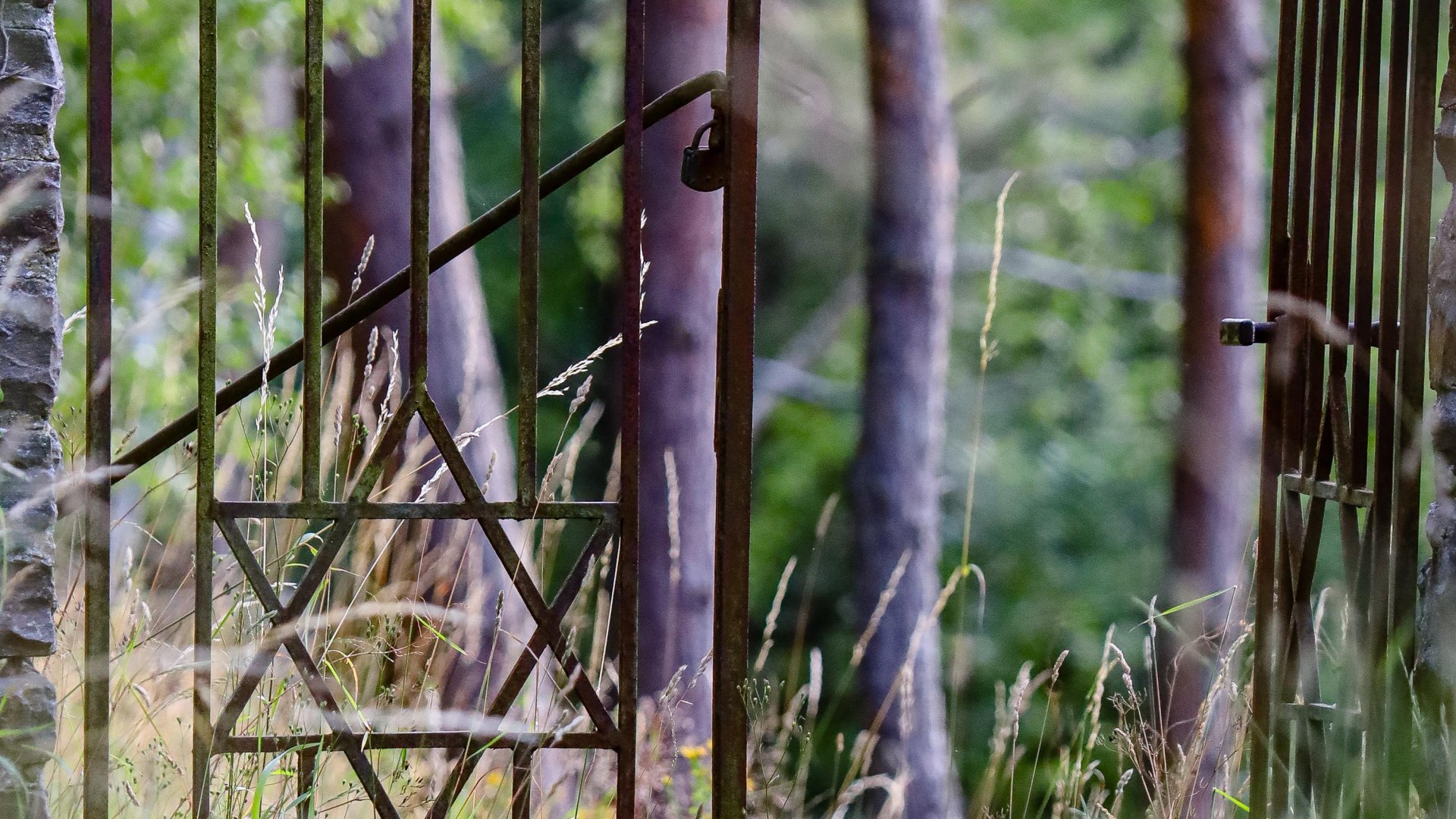 Jüdischer Friedhof Eingang | © TI Oberwesel Jüdischer Friedhof Eingang | © TI Oberwesel