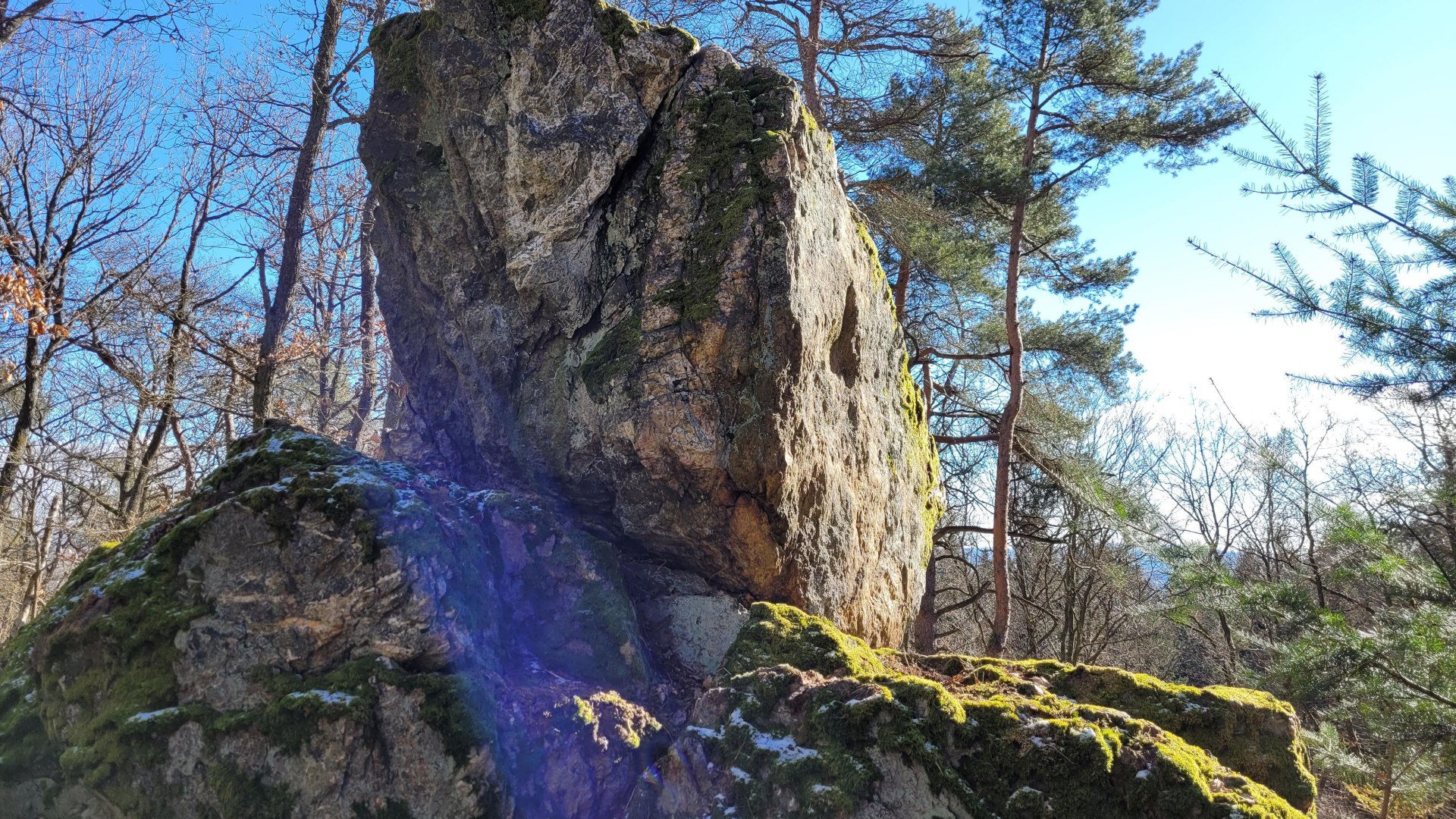 Kuckucksnacks | © E. Bender Kuckucksnacks | © E. Bender