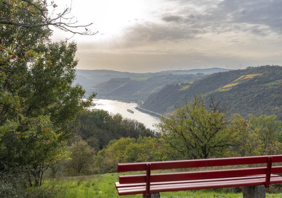 Ausblick Rheintal | &copy; Loreley Touristik GmbH