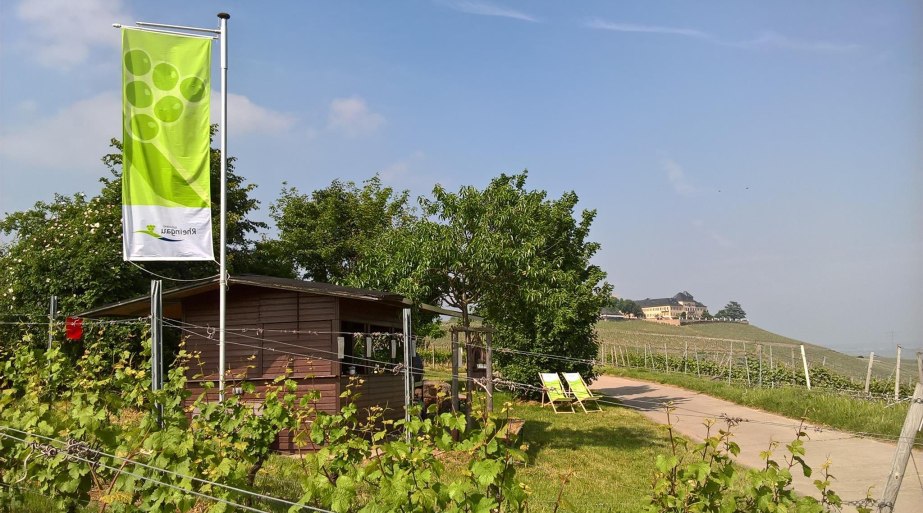 Weinprobierstand mit Blick aufs Schloss | &copy; Weingut Abteihof St. Nicolaus