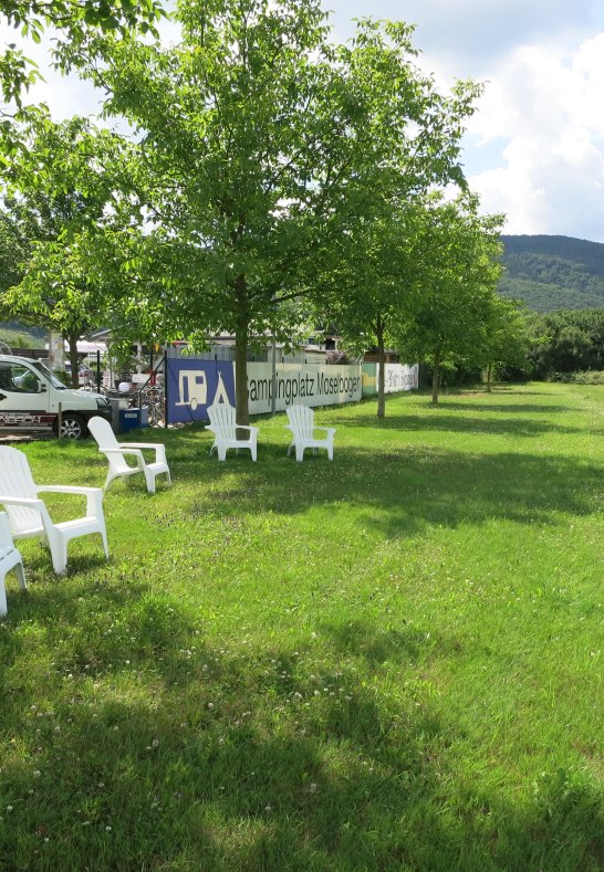 Platz-Ambiente | &copy; Campingplatz G&uuml;lser Moselbogen
