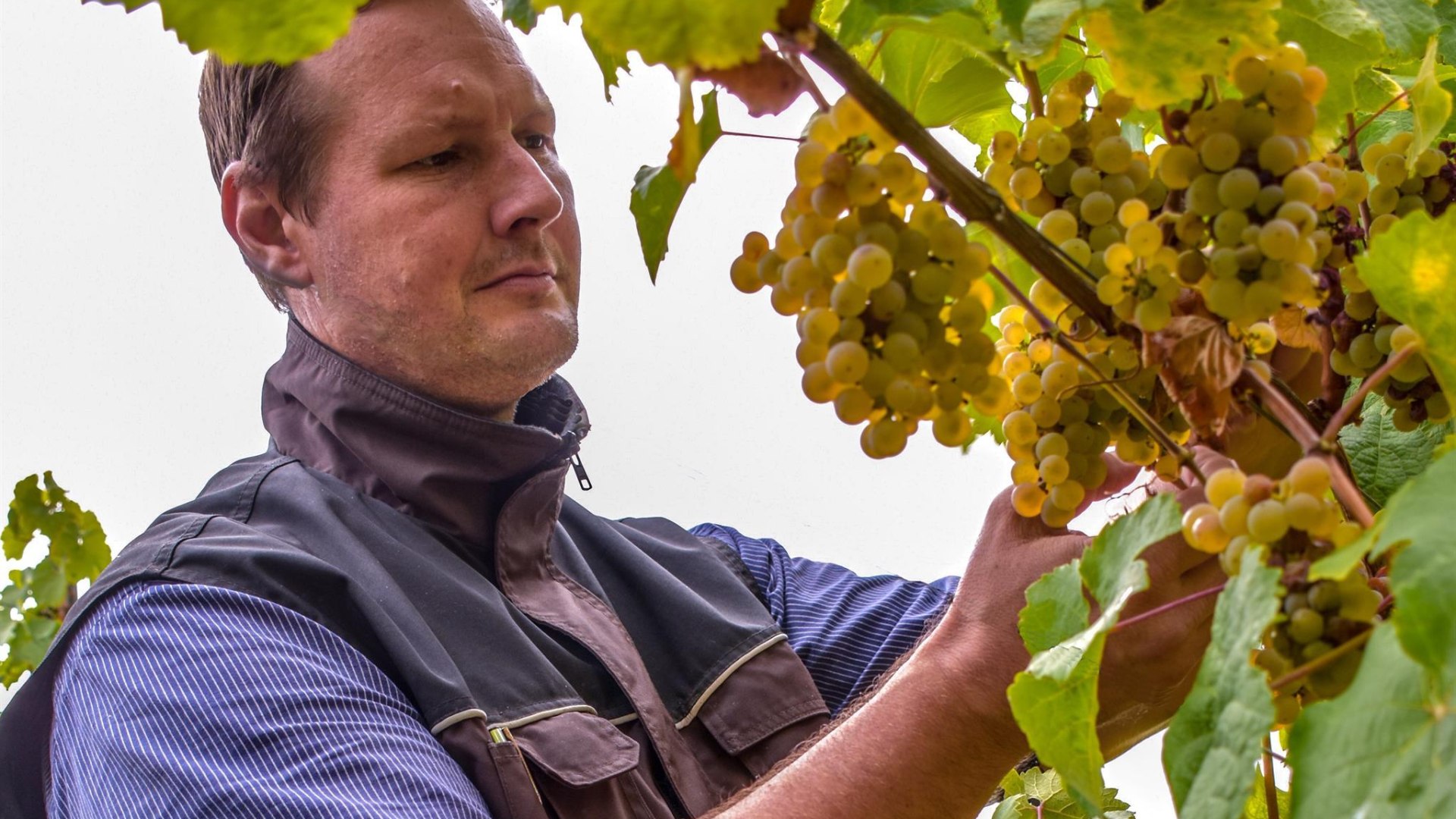 Weingut Kurt Bug | © Yvonne Bug Weingut Kurt Bug | © Yvonne Bug