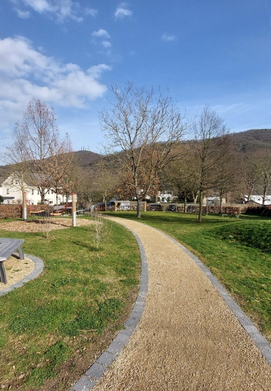 Bänke am Baum | © TI Erlebnisrheinbogen Bänke am Baum | © TI Erlebnisrheinbogen