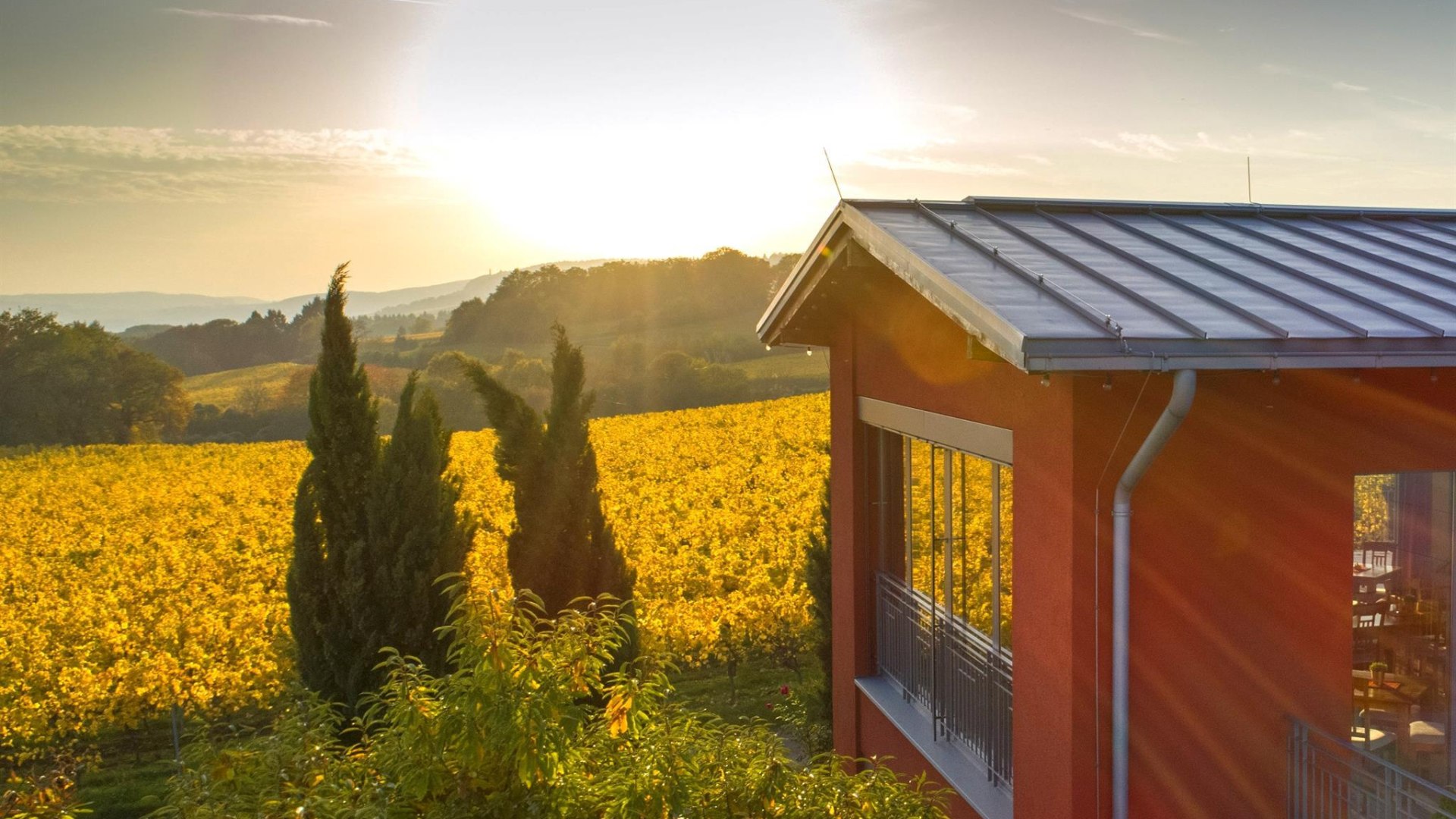 Weingut Freimuth | © Weingut Freimuth Weingut Freimuth | © Weingut Freimuth