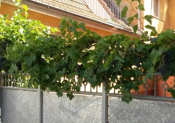 Eingang | &copy; Krick