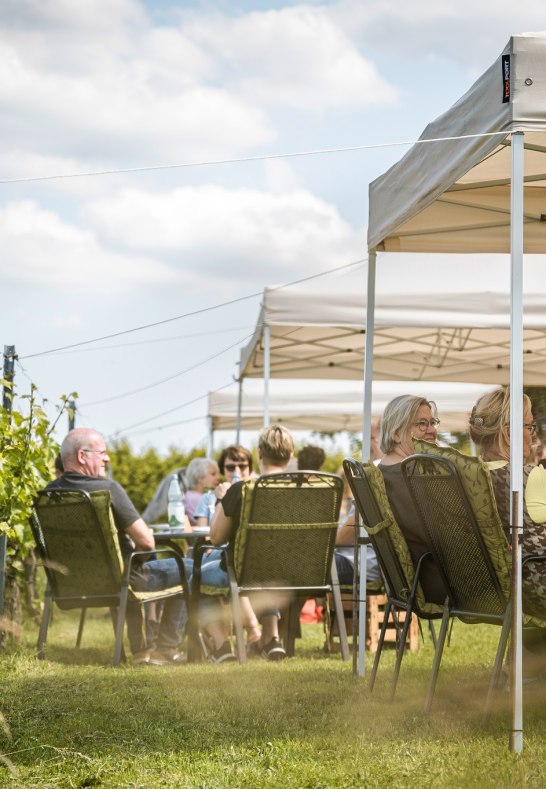 © Maurice Keil/Mittelrhein-Wein e. V. © Maurice Keil/Mittelrhein-Wein e. V.