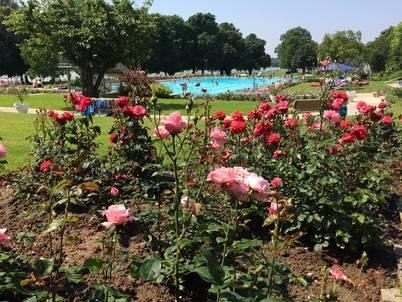 Freibad Eltville | © Freibad Eltville am Rhein
