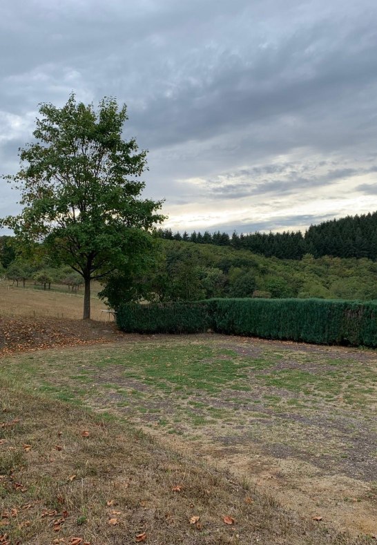 Rheingoldschänke Stellplatz groß1 | © M.Schneider Rheingoldschänke Stellplatz groß1 | © M.Schneider