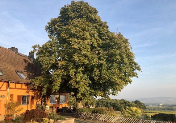 Au&szlig;enansicht Haus | &copy; Weingut Hof Rheinblick