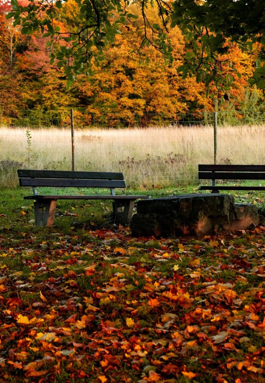 Herbst am Remstecken | © Johannes Bruchhof