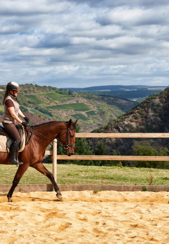 Hof.Hardth&ouml;he.Reiten.Roundpen5 | &copy; Hof Hardth&ouml;he