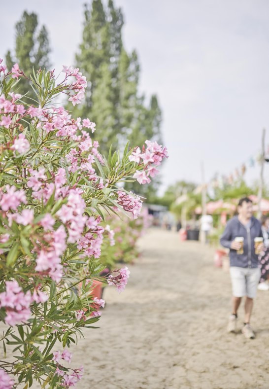 Koblenz Touristik, Picture Colada2 | © Koblenz Touristik, Picture Colada Koblenz Touristik, Picture Colada2 | © Koblenz Touristik, Picture Colada