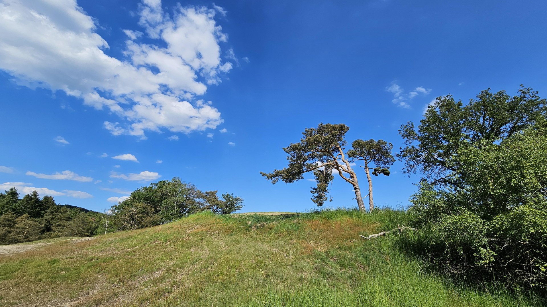 Rheinsteig | © Ulrike Dallmann Rheinsteig | © Ulrike Dallmann