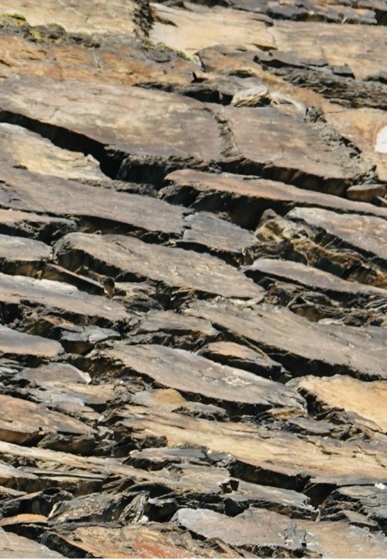 DSC03499 | © AnyaFi