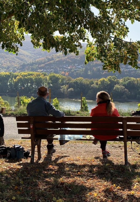 Genussradeln Weinberge Lorch | © Müsel@Hotel im Schulhaus Genussradeln Weinberge Lorch | © Müsel@Hotel im Schulhaus