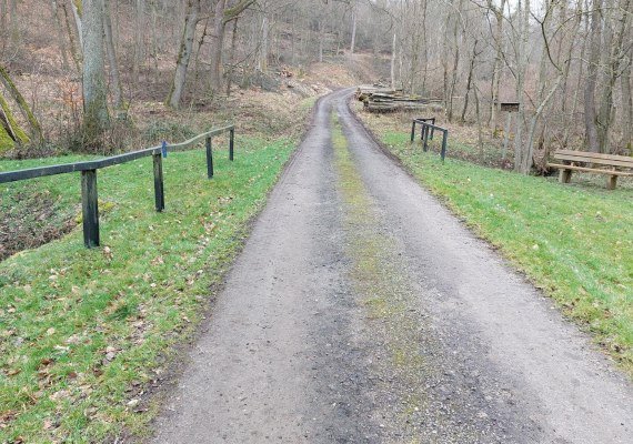Weg an der Brücke | © T. Biersch Weg an der Brücke | © T. Biersch