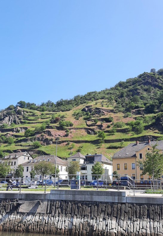 20230527_105839 | &copy; Petra Kahl