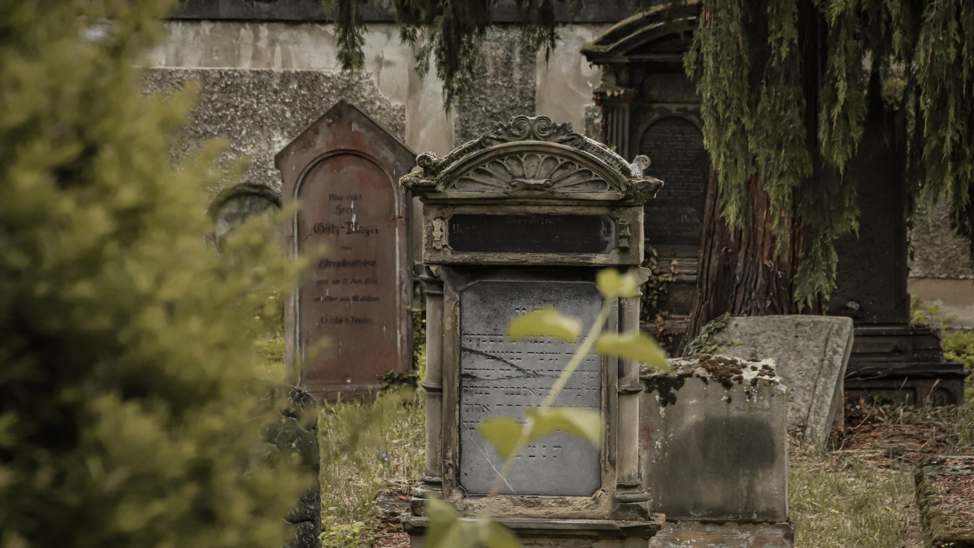 Jüdischer Friedhof Koblenz | © Johannes Bruchhof Jüdischer Friedhof Koblenz | © Johannes Bruchhof