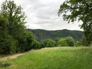 Weg am Kurpark | &copy; Tourist Information Boppard